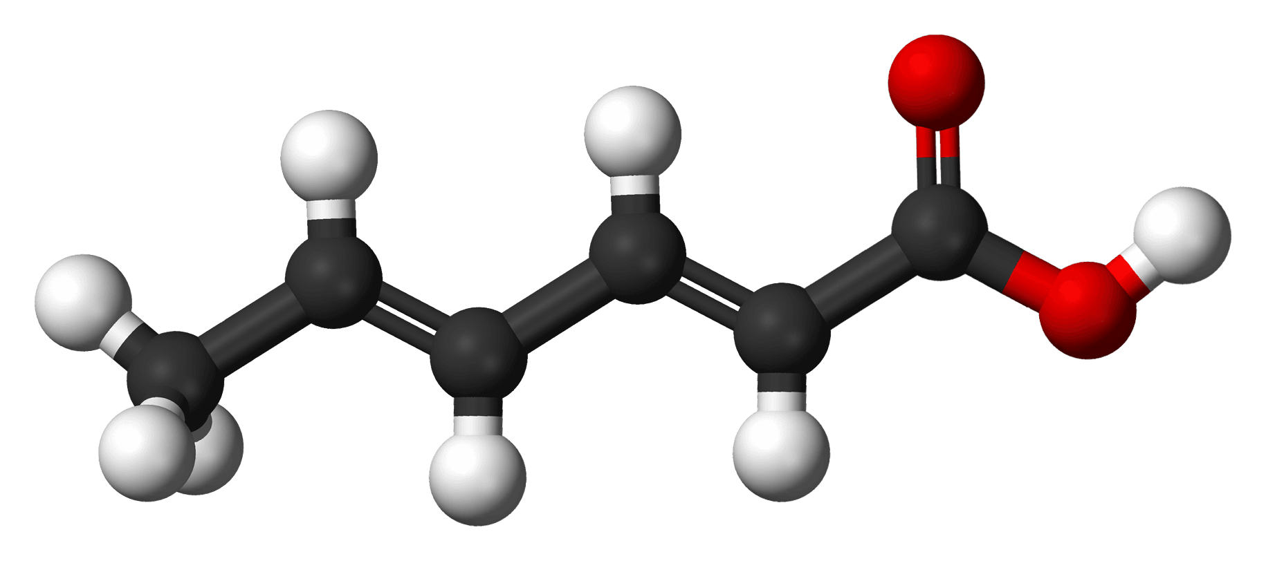 3D ball model of sorbic acid