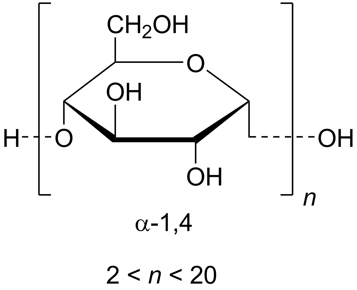 Maltodextrin structure illustration