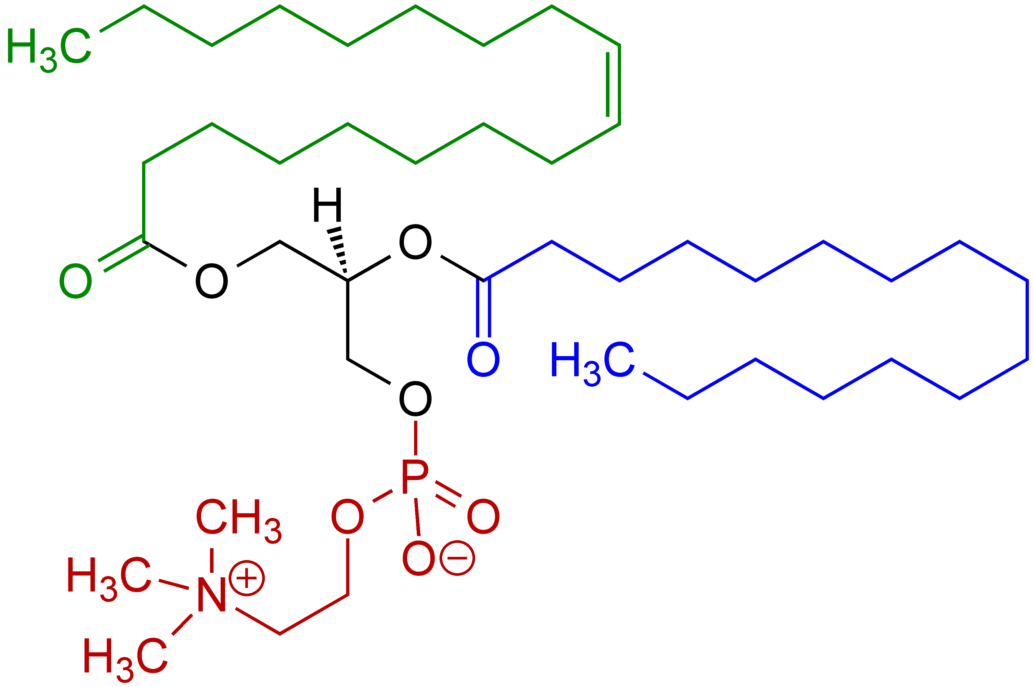 Lecithin related phosphatidylcholine structural formula