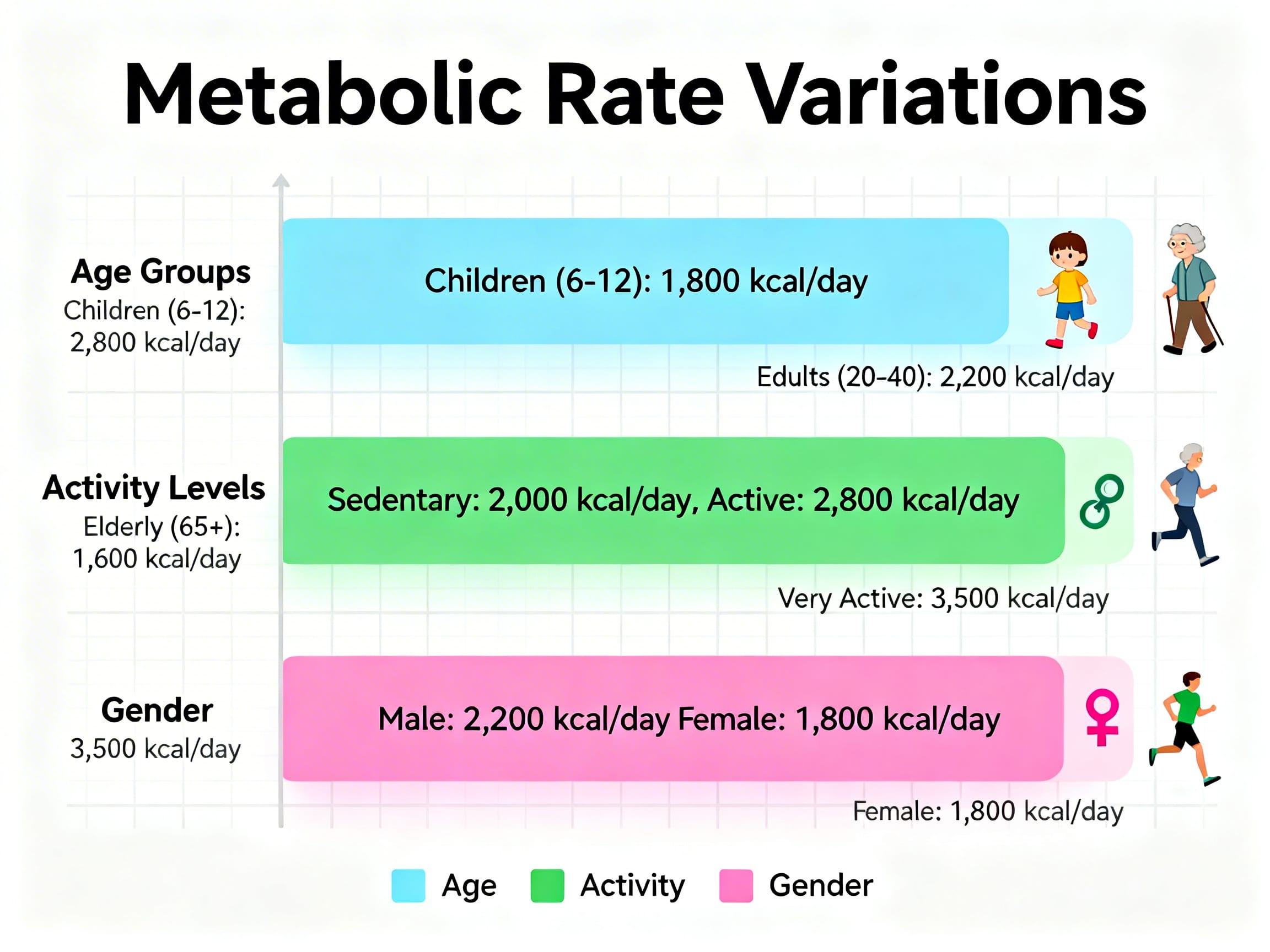 infographic illustrating metabolic rate variations