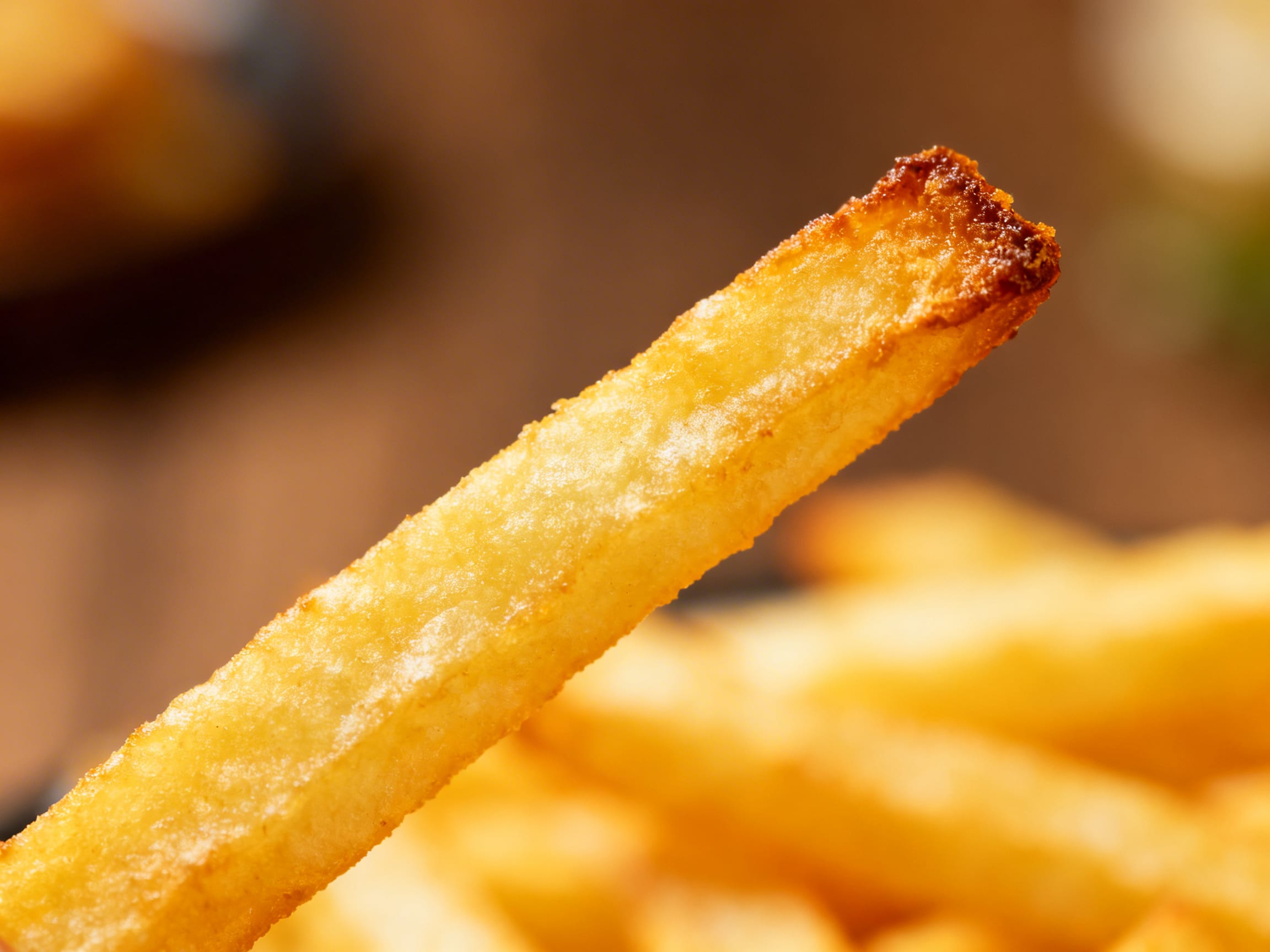 a perfectly golden-brown french fry with a slight blur in the background to emphasize its allure