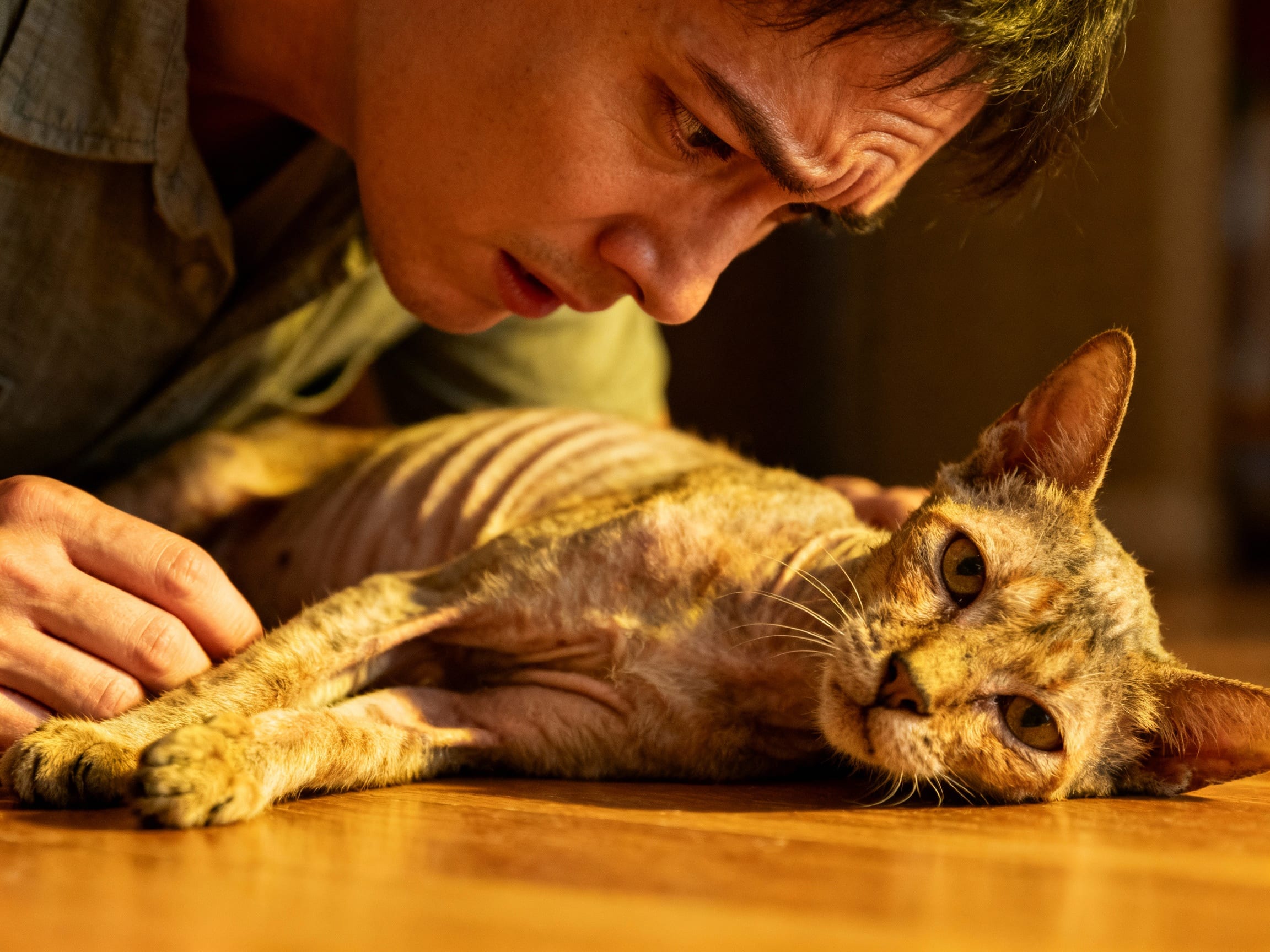 A worried pet parent looking at their thin cat